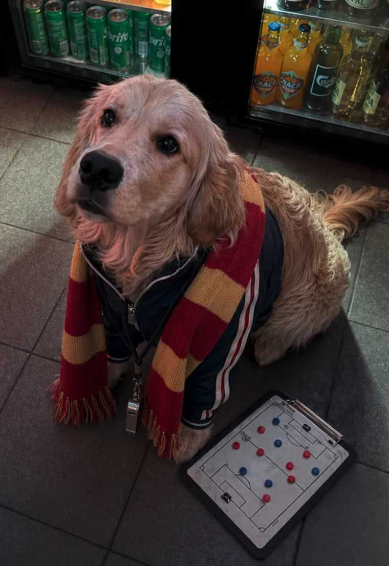 Whiskey wearing a neutral touchline jacket and scarf at Shamrock Sports Bar